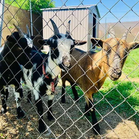 El Rincon De Willy *