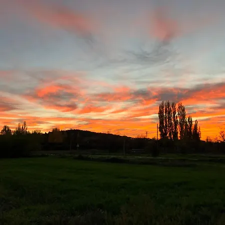 El Rincon De Willy Nyaraló *