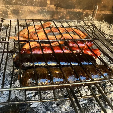 El Rincon De Willy * Zazuar