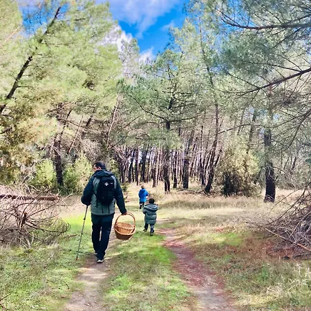 El Rincon De Willy Zazuar