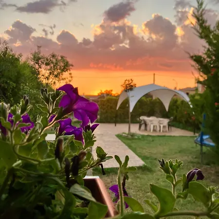 El Rincon De Willy Nyaraló *