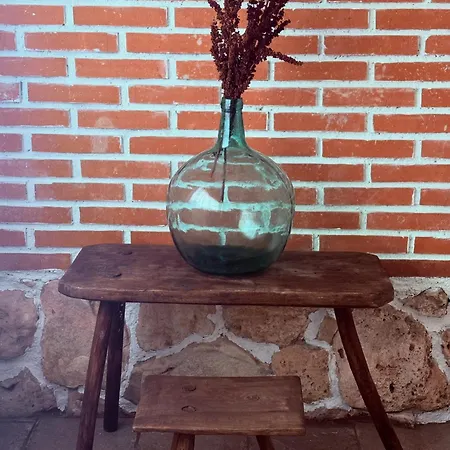 El Rincon De Willy Nyaraló Zazuar