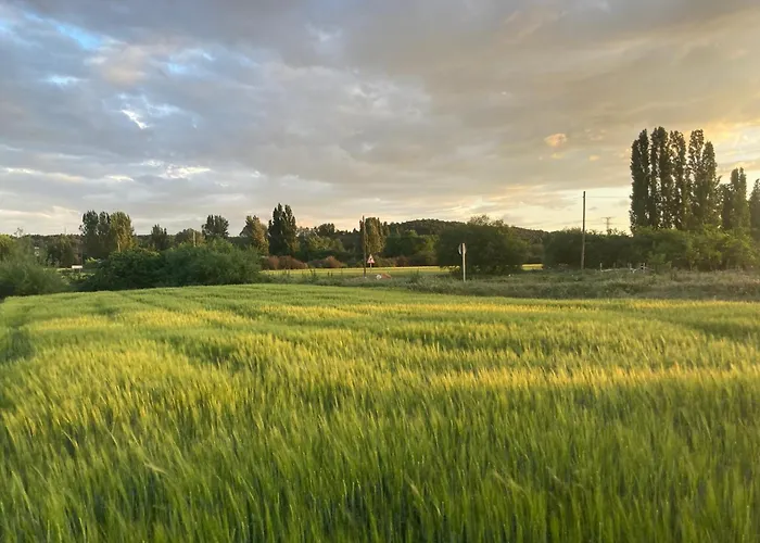 El Rincon De Willy *