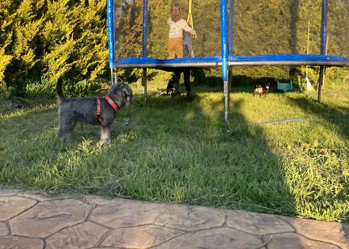 펜션 El Rincon De Willy Zazuar