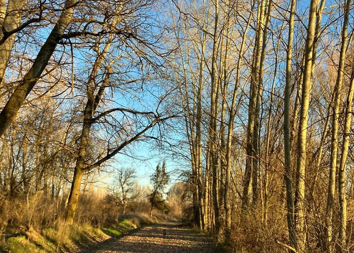 El Rincon De Willy 펜션 *