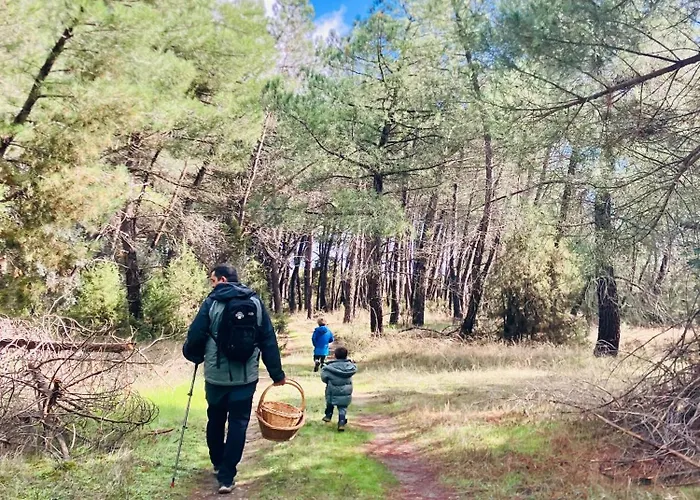 El Rincon De Willy Zazuar