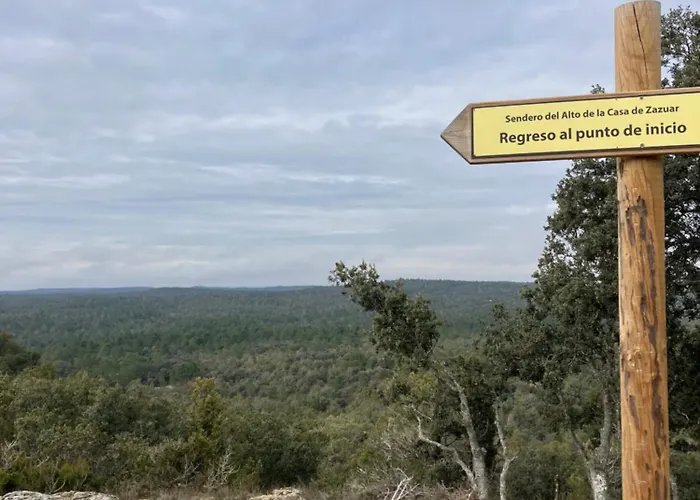 El Rincon De Willy *